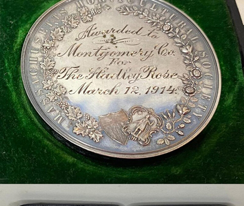 The Montgomery Company Hadley Rose Medal